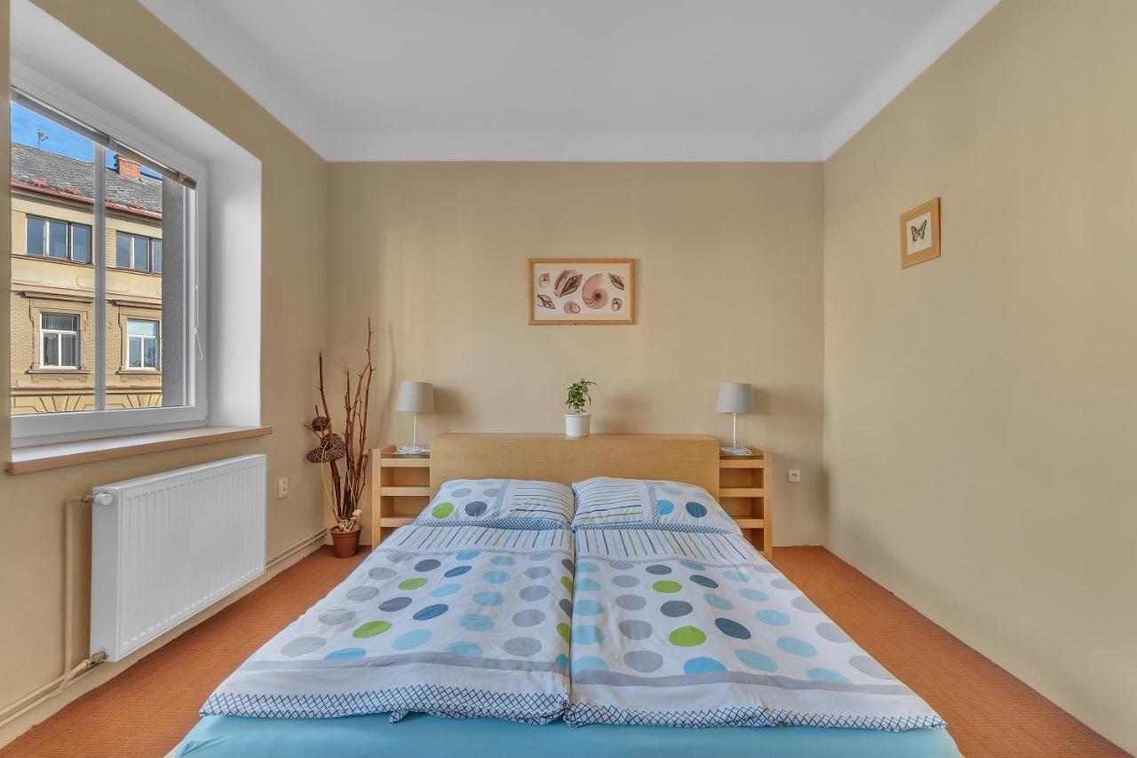 Apartman U Javorky Лазне-Белоград Экстерьер фото